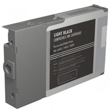Epson Tintenpatrone schwarz light (C13T543700, T5437)