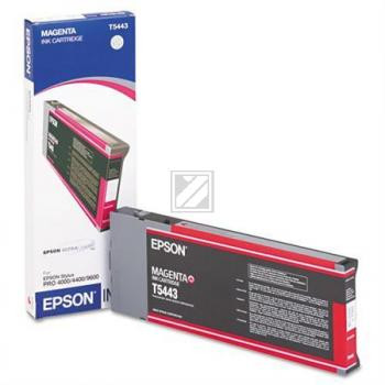 Epson Tintenpatrone magenta HC (C13T544300, T5443)