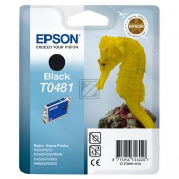 Epson Tintenpatrone schwarz (C13T04814010, T0481)